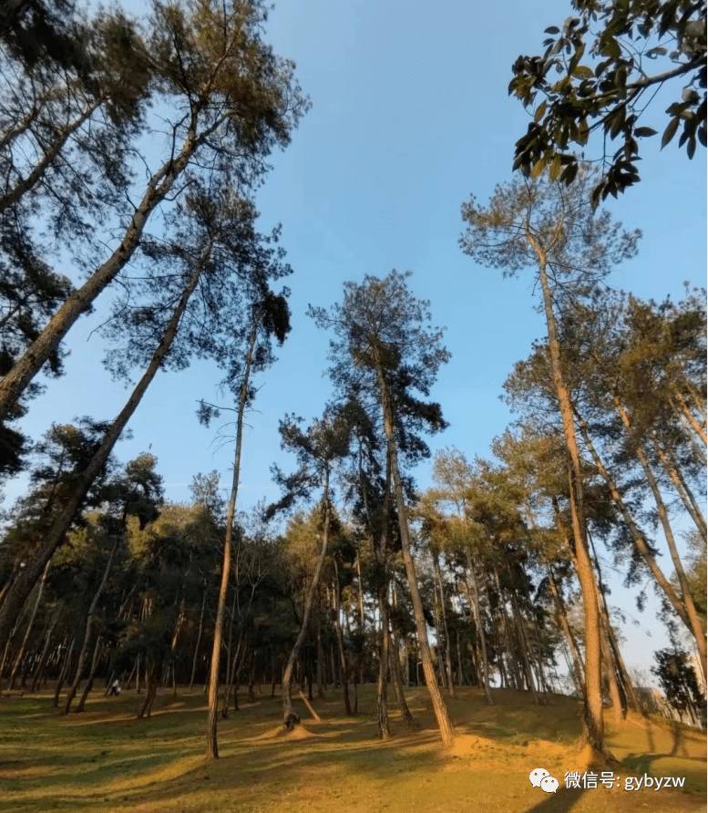 云岩区哪个地方可以钓鱼(云岩区哪个地方可以钓鱼的)