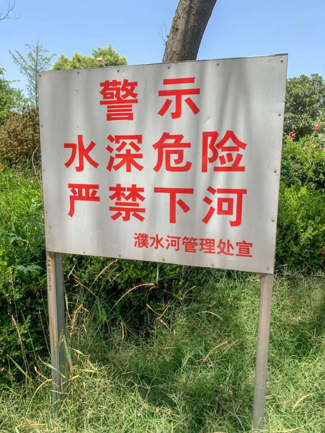 苏州哪个地方可以野泳的简单介绍
