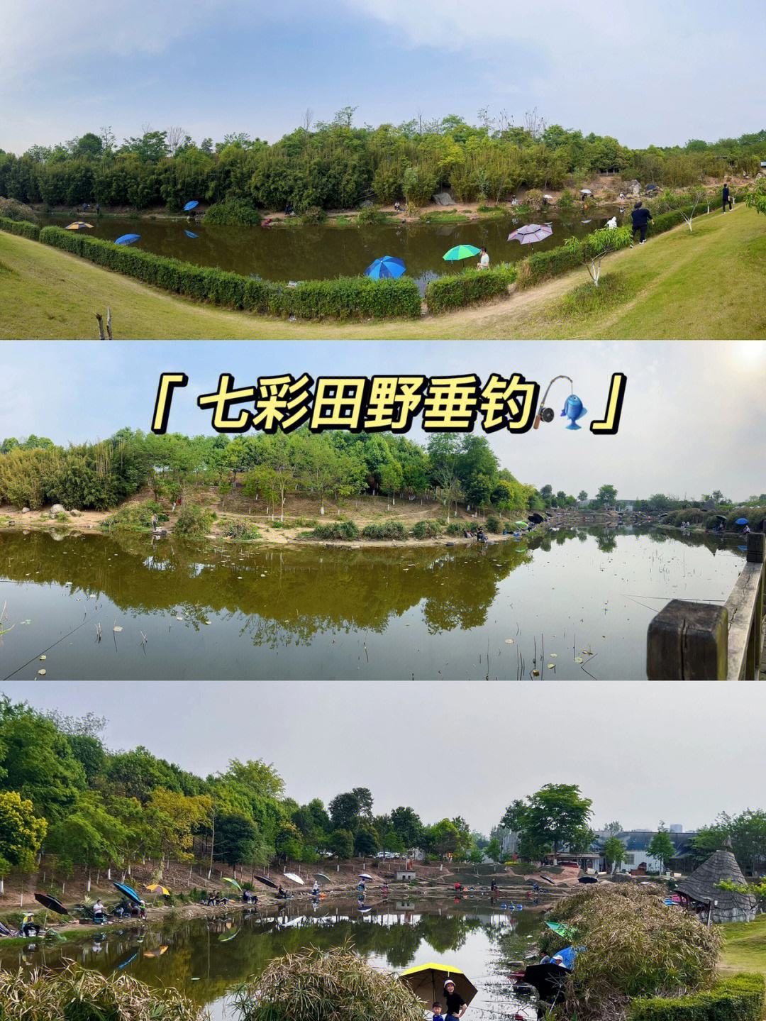 成都龙泉哪里可以钓鱼(成都龙泉哪里可以钓鱼露营休闲)