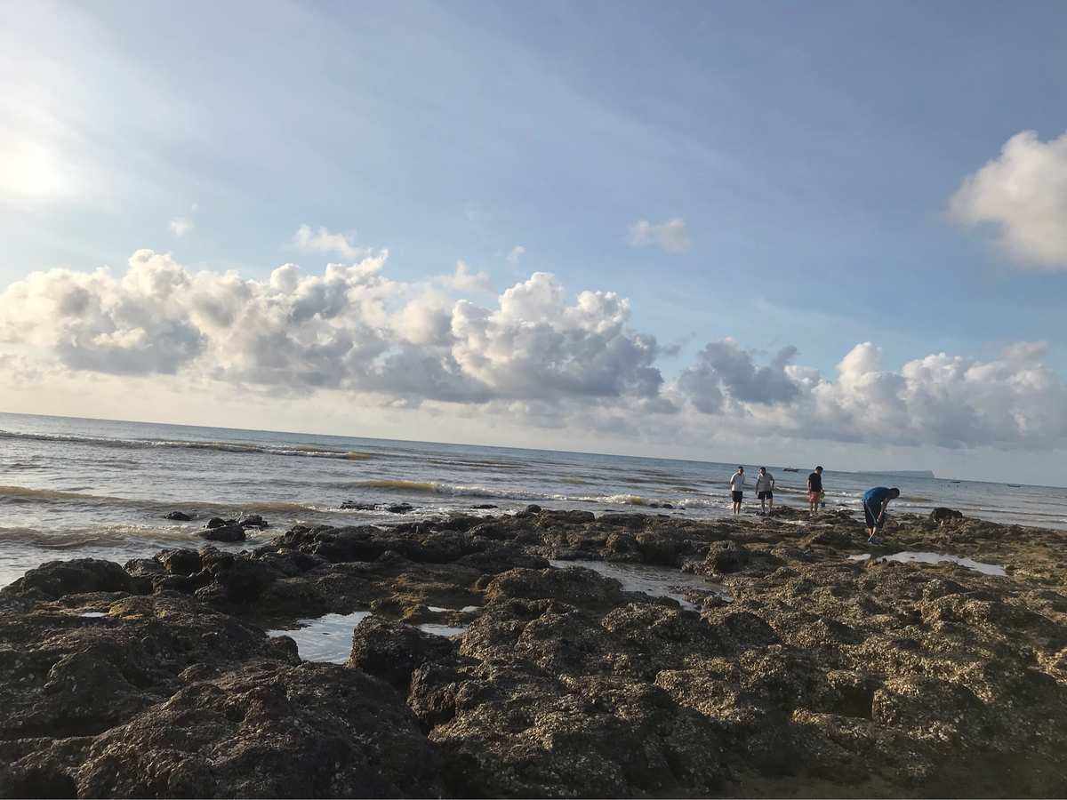 岛内哪个地方可以赶海(岛内哪个地方可以赶海捡海鲜)