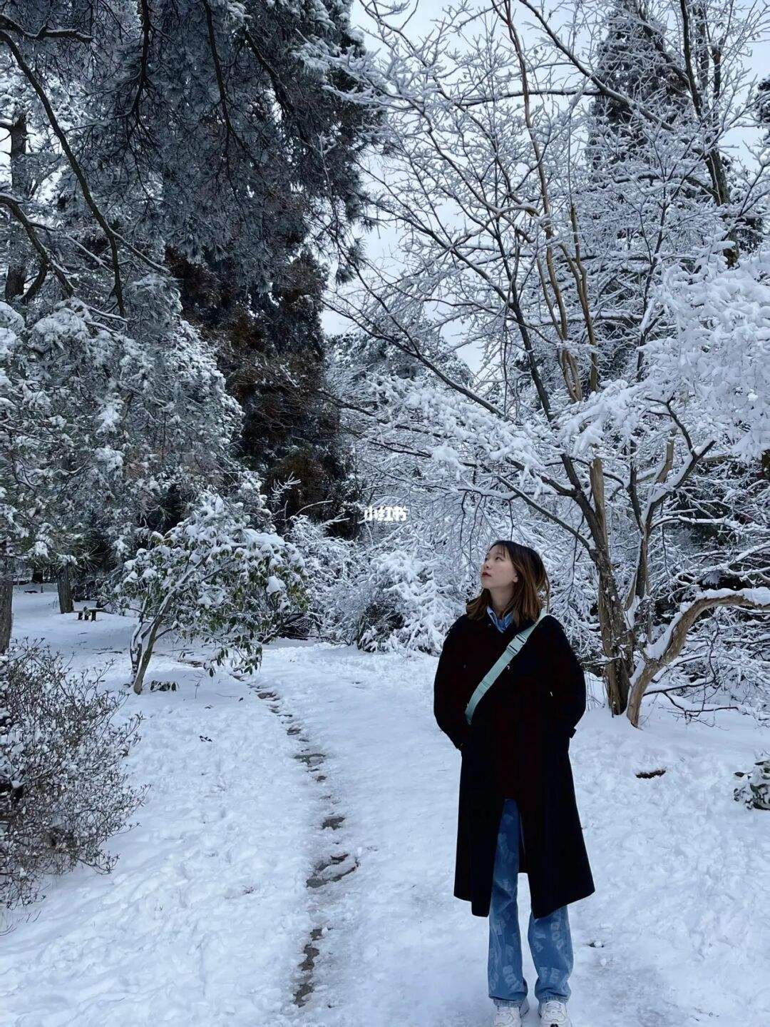 江西哪个地方可以玩雪(江西大型电子厂在哪个地方)