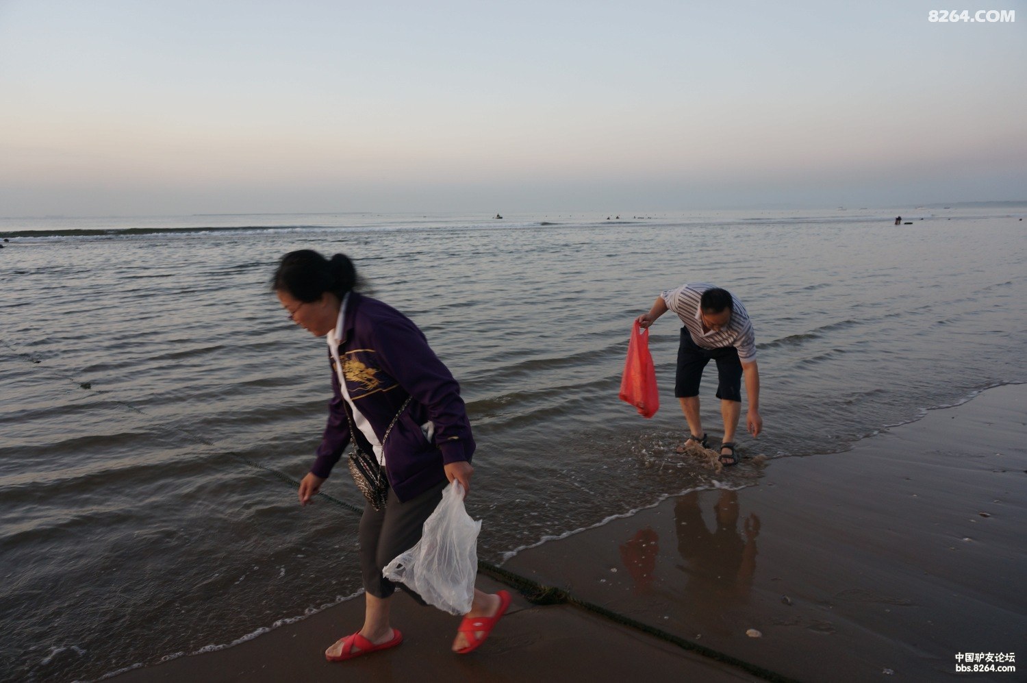 河北哪个地方可以赶海(河北哪里赶海最好玩有收获)