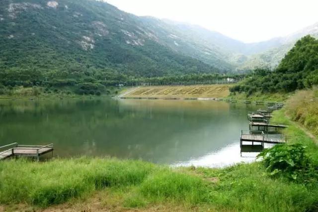 龙泉附近哪个地方可以钓鱼(成都龙泉哪里有钓鱼的地方吗)