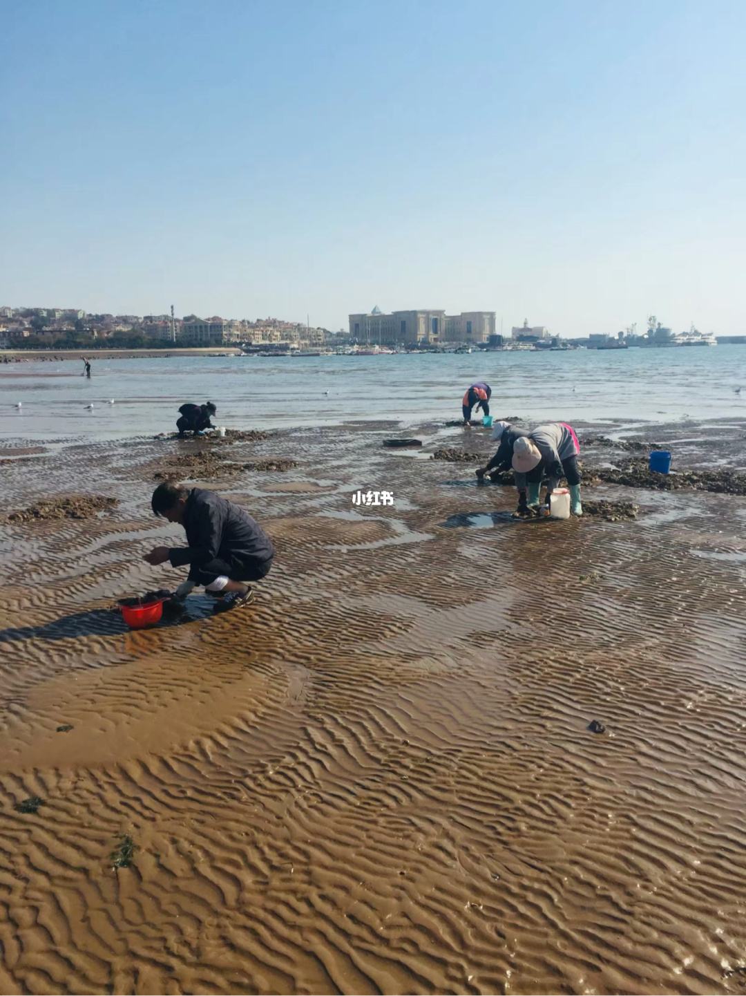 青岛即墨哪个地方可以赶海(青岛即墨哪个地方可以赶海捡海鲜)