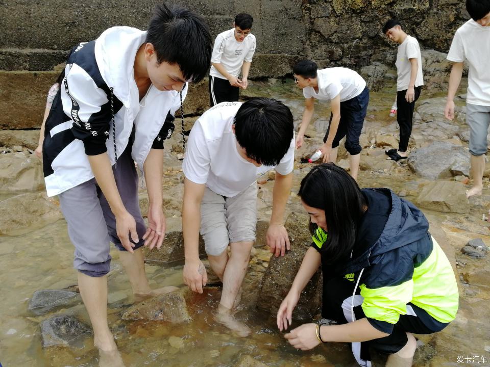 浙江哪个地方可以抓螃蟹(浙江哪个地方可以抓螃蟹的)