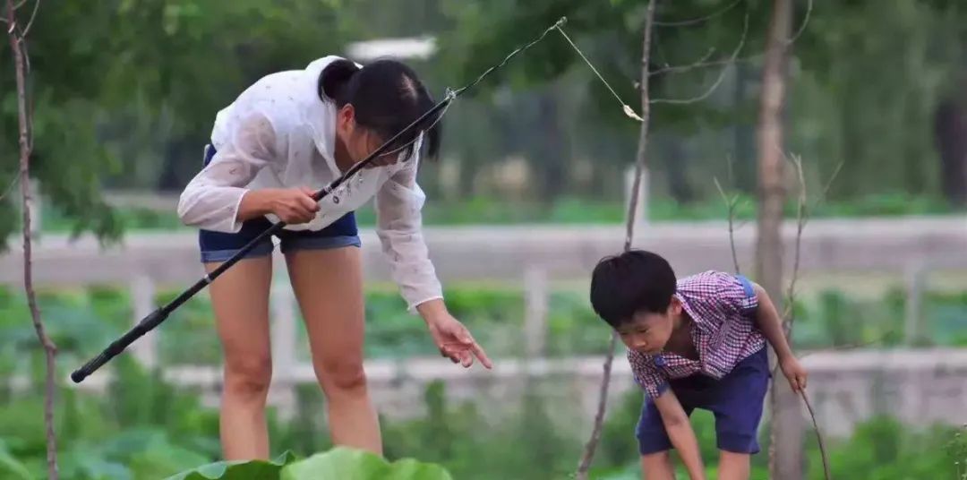 上海哪里可以掉龙虾(上海可以钓龙虾的地方)