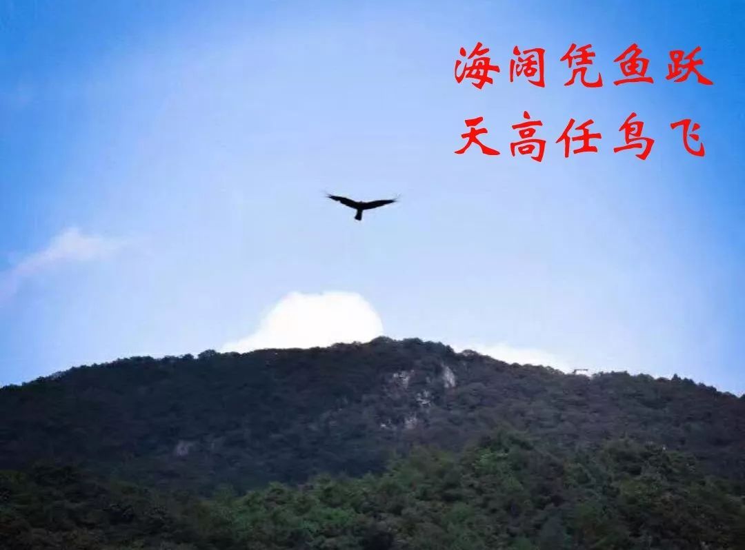 朔州婚庆礼仪公司(朔州婚庆车队联系方式)