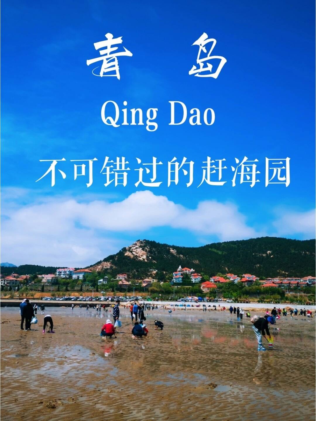哪个地方可以赶海青岛(哪个地方可以赶海青岛航班)