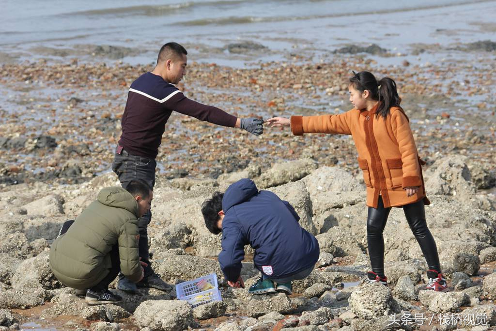 哪个地方可以赶海青岛(哪个地方可以赶海青岛航班)