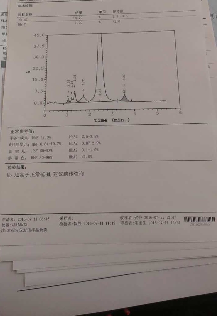 广州哪里可以检查地贫(广州哪里可以做地贫基因检测)