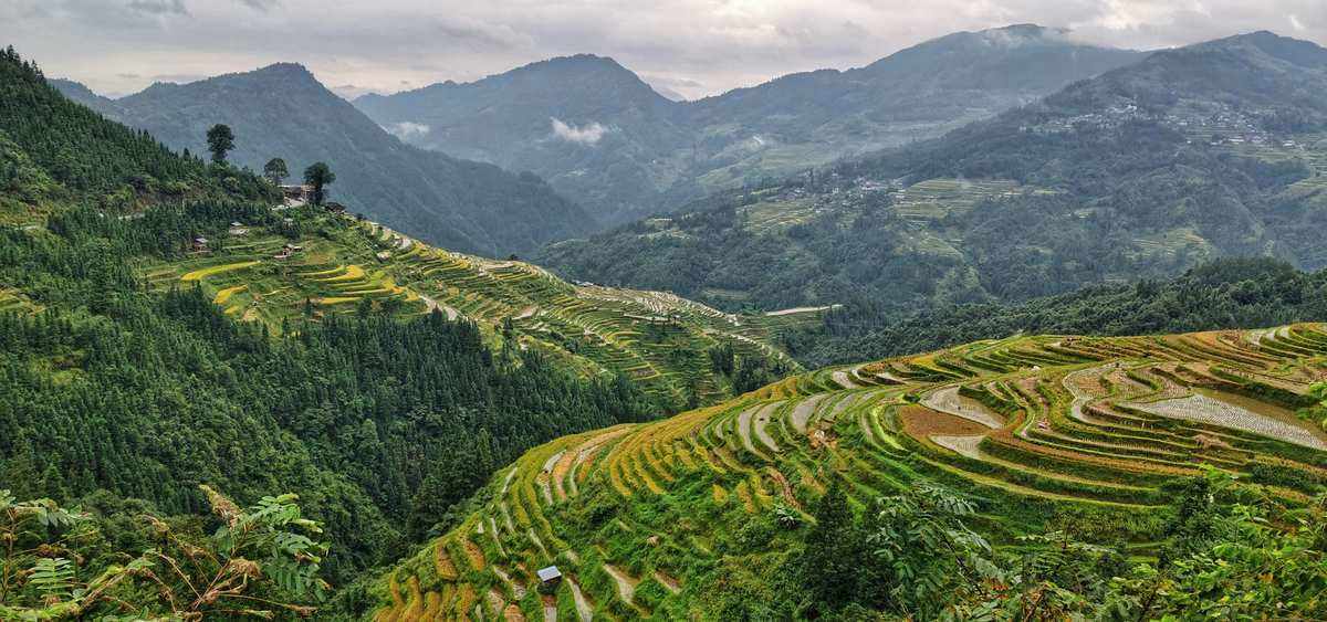 贵州哪个地方可以看梯田(贵州哪个地方可以看梯田景色)