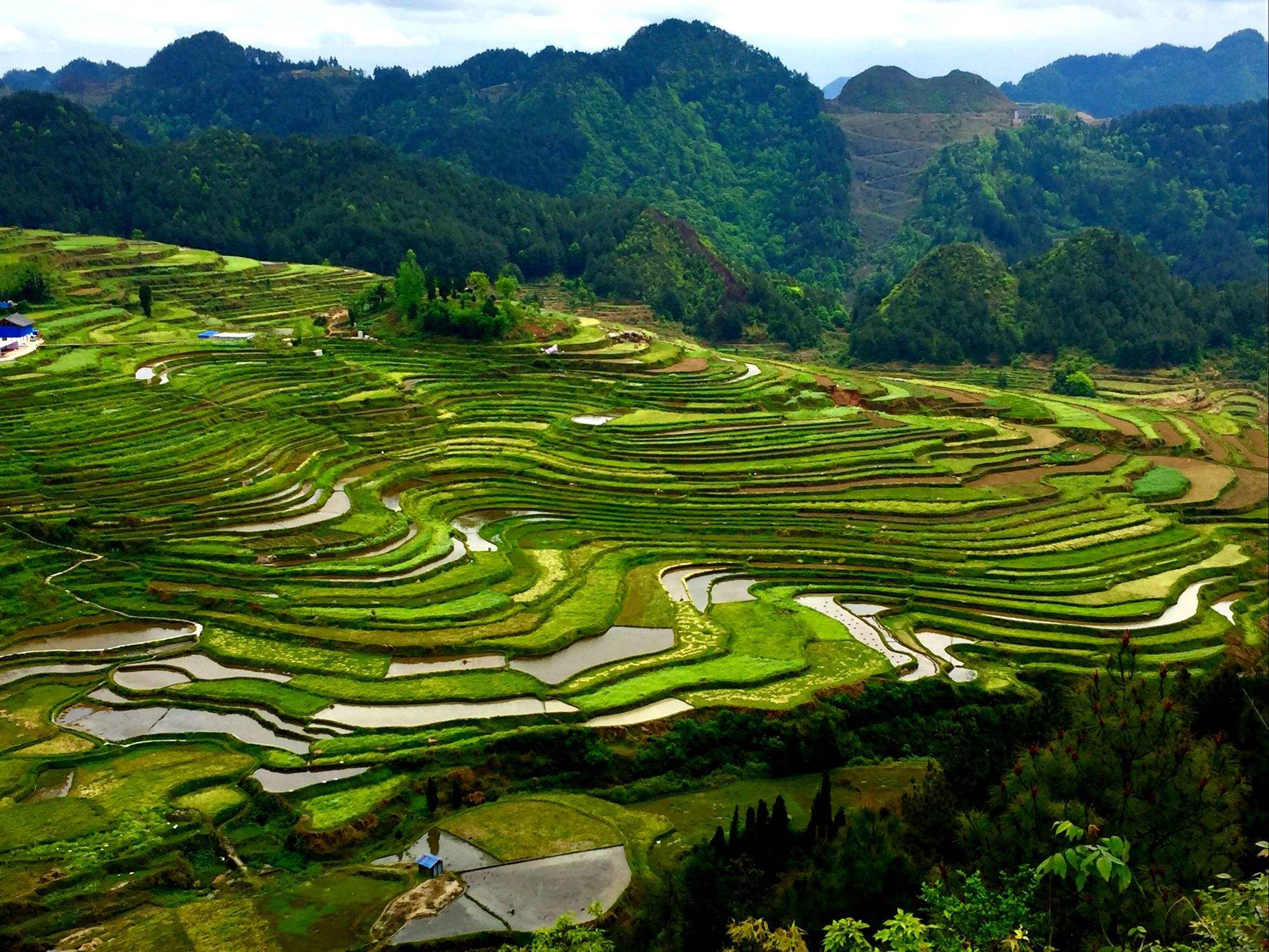 贵州哪个地方可以看梯田(贵州哪个地方可以看梯田景色)