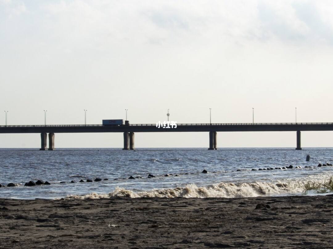 上海哪个地方可以观海(上海哪个地方可以看海?)