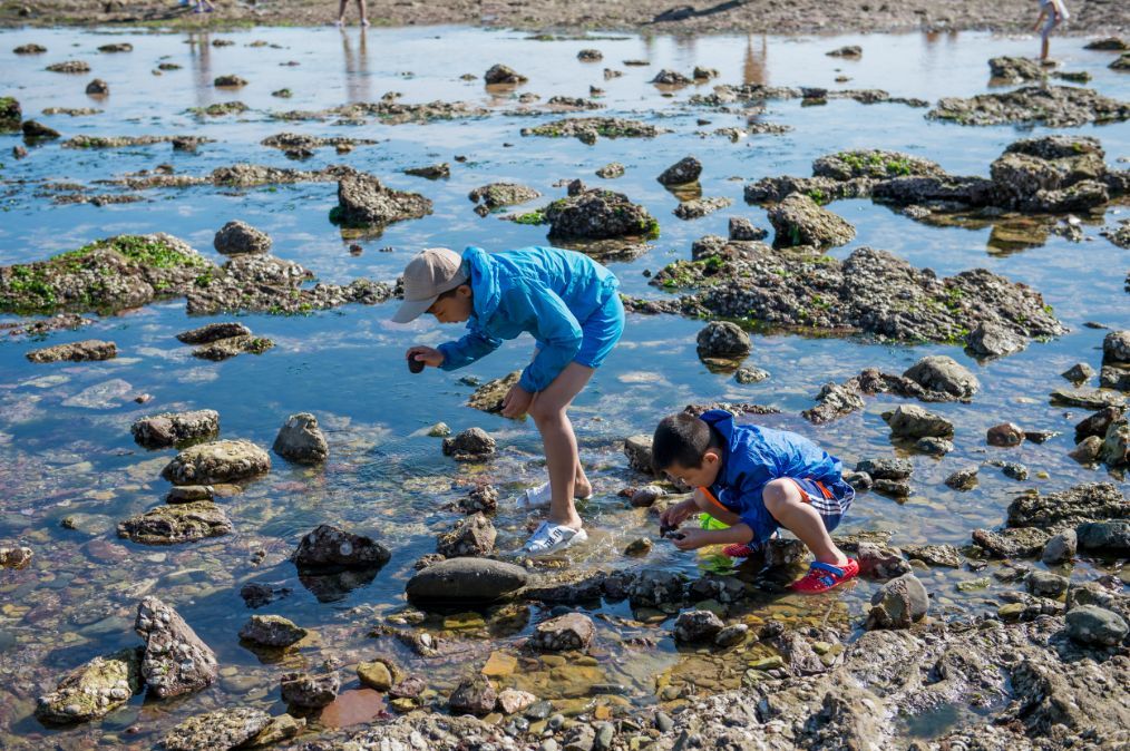 哪个地方可以随意赶海玩(哪个地方可以随意赶海玩的)