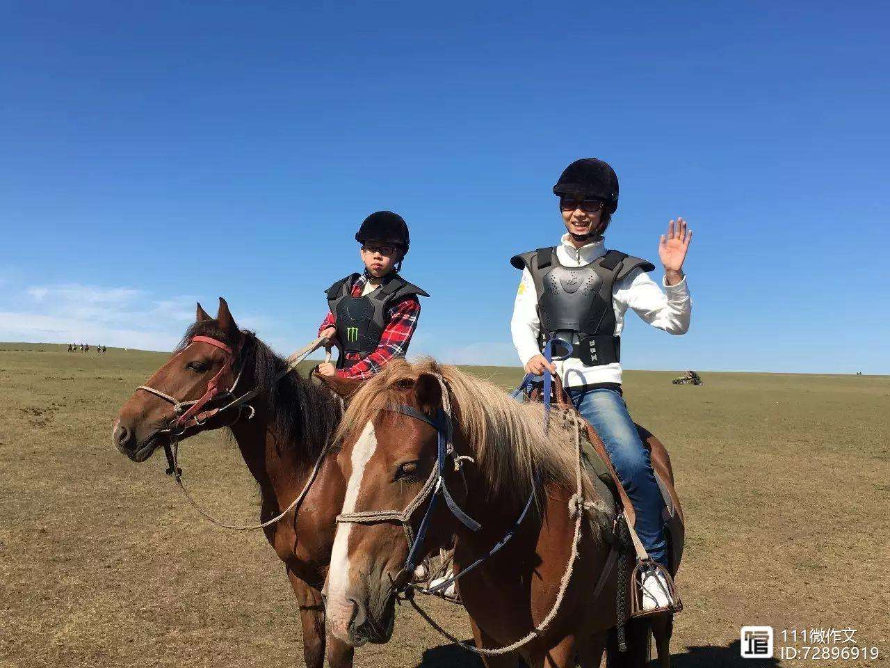 哪个地方可以骑马旅游(哪个地方可以骑马旅游呢)