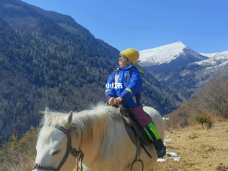 成都周边哪里可以骑马(成都附近可以骑马的草原)