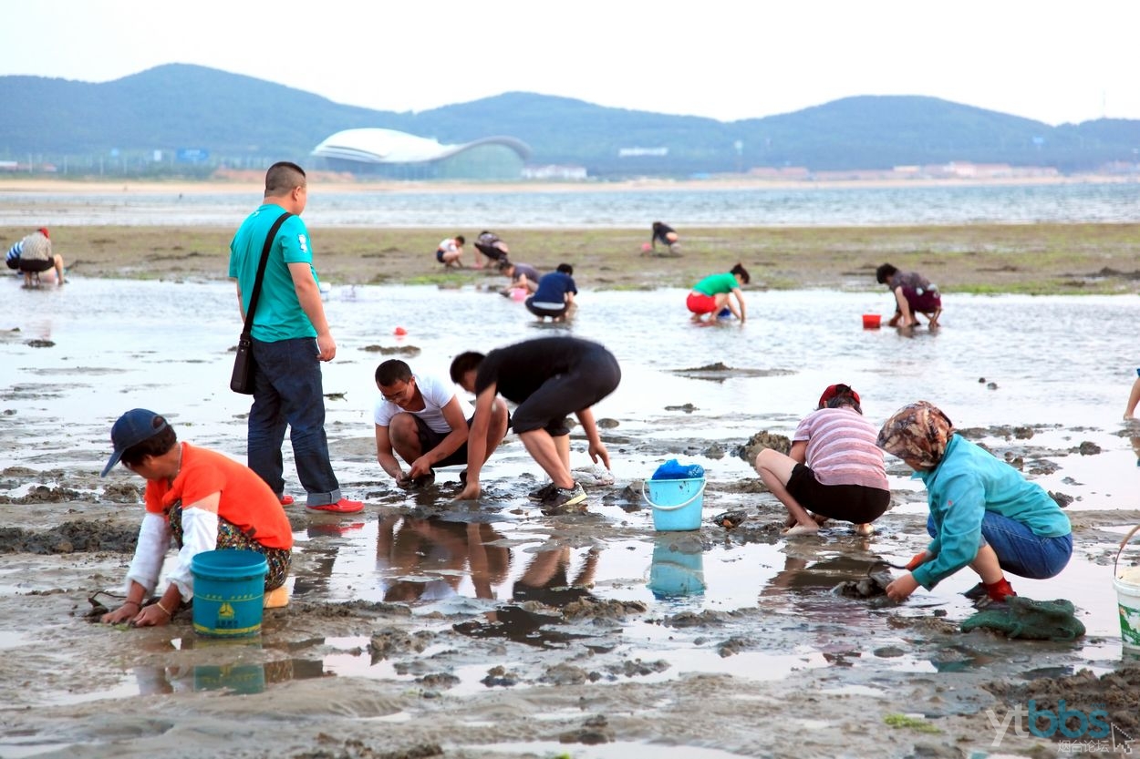 东营哪个地方可以赶海(东营哪个地方赶海可以捡海螺的)