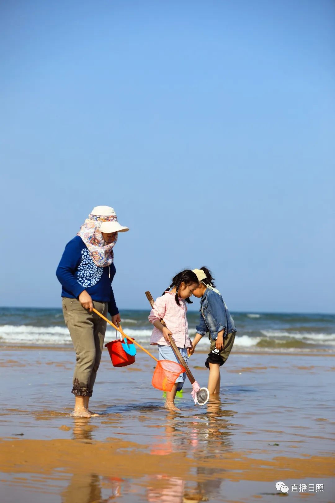 哪个地方可以自由赶海(哪个地方可以自由赶海旅游)