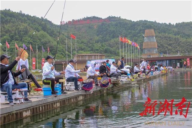 临湘哪个地方可以钓鱼(临湘哪些地方可以钓路亚)